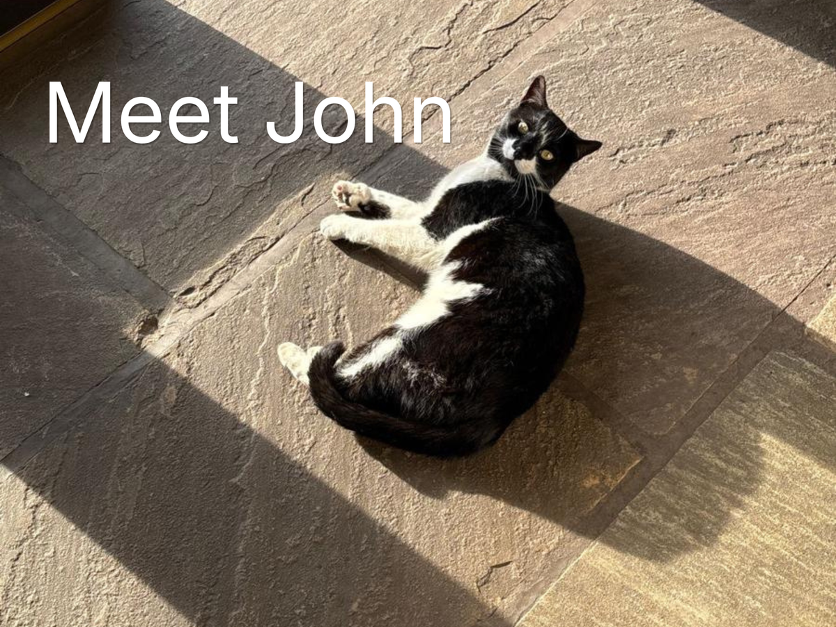 John and Tigger